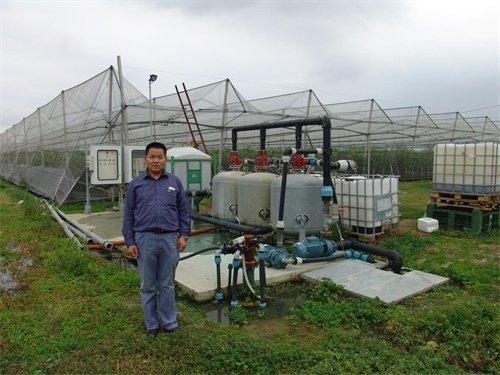 無土栽培，無土栽培技術，無土栽培設備