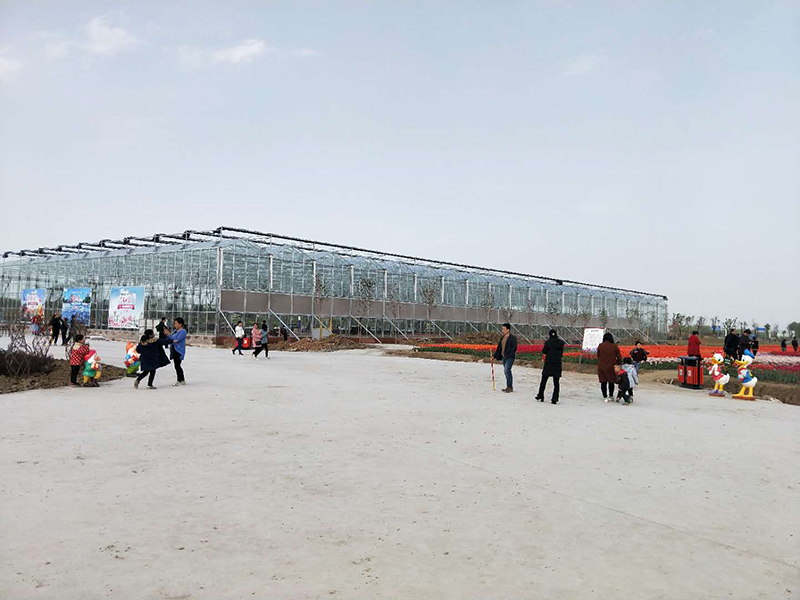 無土栽培，無土栽培技術，無土栽培設備