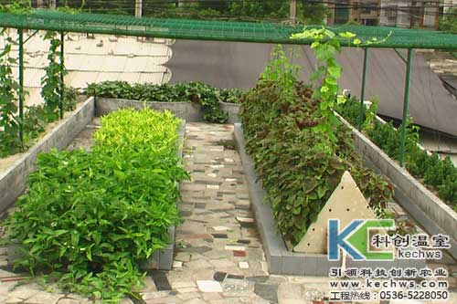 無土栽培，無土栽培技術，無土栽培設備