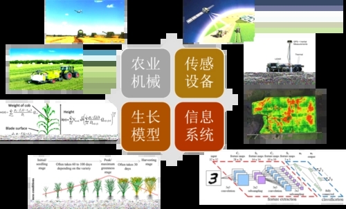 無土栽培，無土栽培技術，無土栽培設備